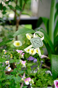 Bowknot Iron Art Flower Insert with Ribbon for Garden Pot Decoration