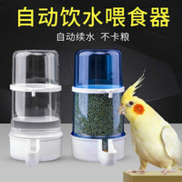 Automatic Water Feeder for Quail, Parrots, Pigeons, and Other Small Birds