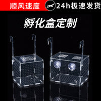 Acrylic Aquarium Isolation Box for Breeding and Fry Rearing