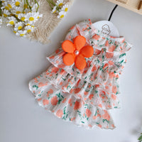 Pet Dog Cat Floral Pleated Princess Dress for Spring/Summer, Anti-Shedding Apparel