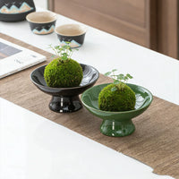 Ceramic Moss Ball Planter with Tray - Desktop Hydroponic Bonsai Vessel