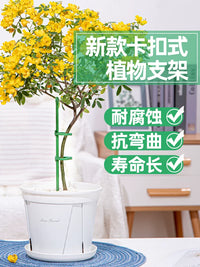 Orchid and Plant Support Stakes for Potted Plants, Anti-Toppling Garden Plant Support Rods