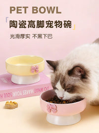Elevated Ceramic Pet Bowl for Cats and Small Dogs - Tilted Wide Mouth Food and Water Dish