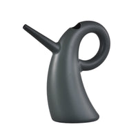 Long Spout Watering Can for Indoor Plants & Gardening