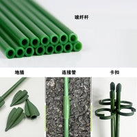 Plant Support Stakes for Climbing Plants, Roses, and Monstera - Indoor Garden Trellis Kit