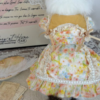Pet Princess Dress with Ruffle Trim and Irregular Hem in Ginger Yellow