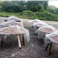 Mesh Food Cover Net for Outdoor and Indoor Use, Anti-Mosquito and Fly Protection