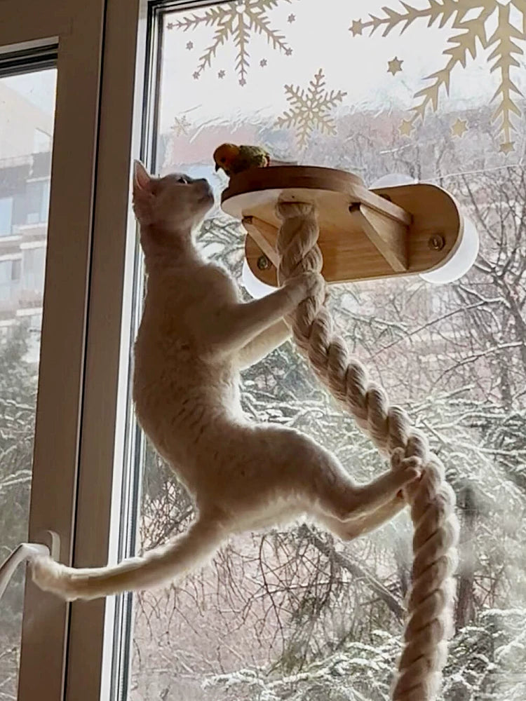 Wall-Mounted Cat Scratching Rope Climbing Post