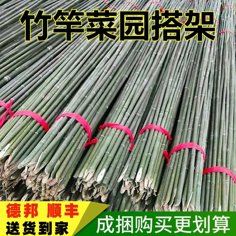 Bamboo Garden Stakes for Climbing Plants, Vegetables, and Fencing