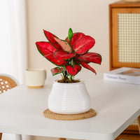 Self-Watering Planter Pot for Indoor Plants, Resin Plastic Breathable Hydroponic Flower Pot