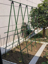 Garden Climbing Trellis for Vegetables and Flowers, Heavy Duty Plant Support Frame