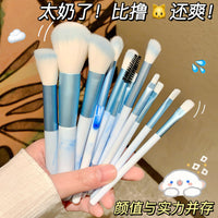 12-Piece Sky Blue/Pink Makeup Brush Set with Soft Eyeshadow and Powder Brushes for Beginners