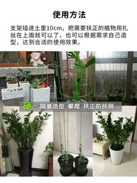 Plant Support Stakes for Orchids and Potted Plants, Garden Flower Stand Anti-Toppling Fixator