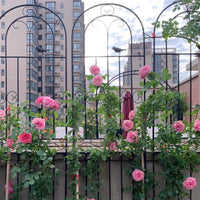 Wrought Iron Garden Trellis for Climbing Plants, Roses, and Vines - Outdoor Arch Support for Yard and Patio