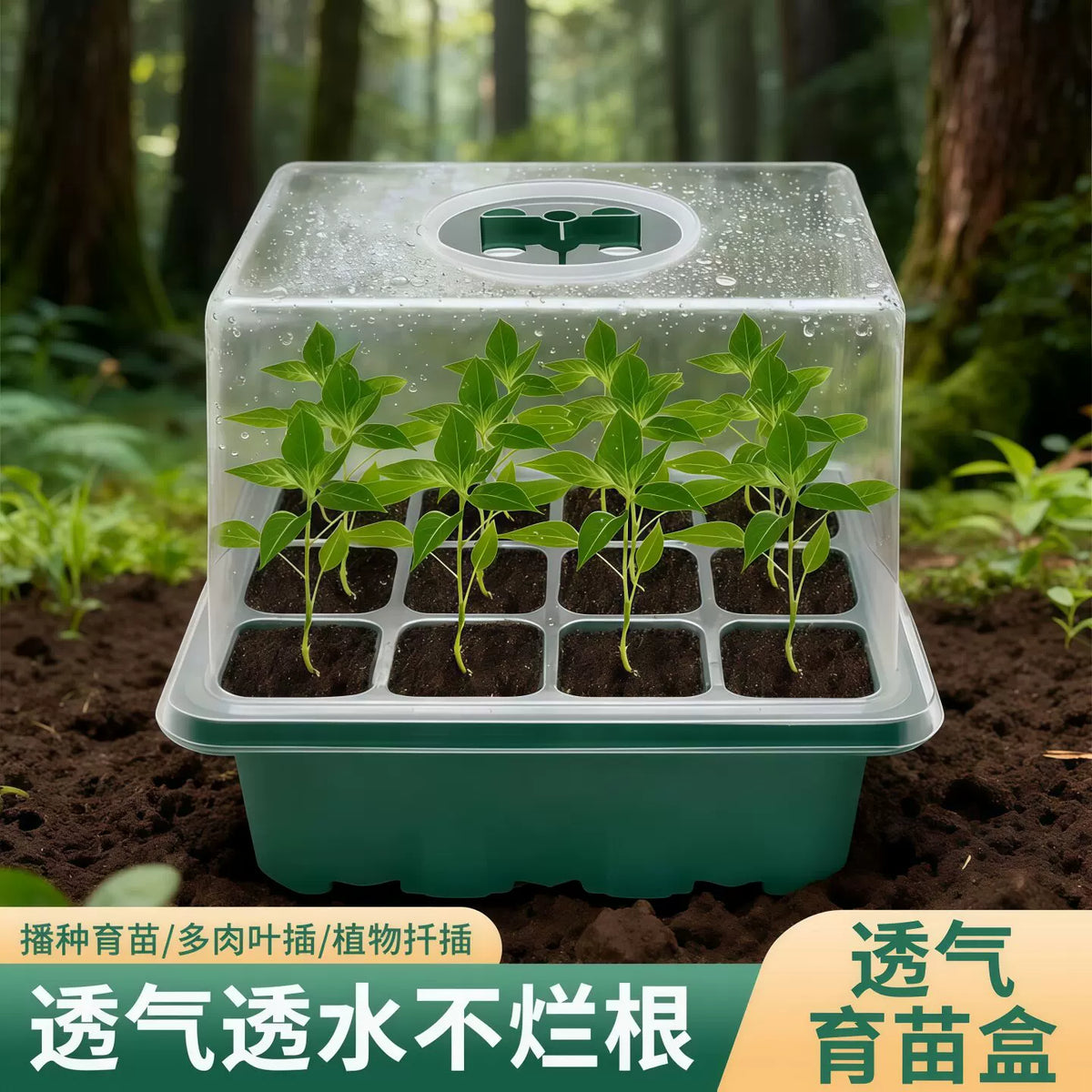12-Cell Seedling Starter Tray with Adjustable Ventilation Dome for Gardening