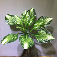 Artificial Hosta Leaf Green Wall Decor for Balcony & Indoor Vertical Gardens