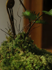 Artificial Fern Bonsai with Zen-Inspired Pot for Home and Office Decor