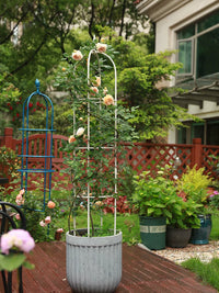 Garden Trellis for Climbing Plants, Round Metal Support for Roses, Clematis, and Potted Vines, Outdoor Plant Climbing Frame