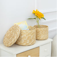 Woven Straw Storage Basket for Toys, Cosmetics, and Home Decor