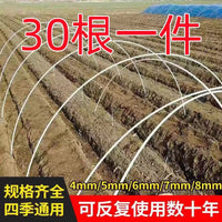 Fiberglass Greenhouse Hoops for Vegetable Garden Tunnels - 30 Pack