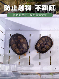 Acrylic Turtle Isolation Breeding Box with Basking Platform for Aquatic Tanks