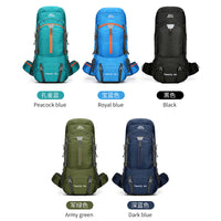 60L Hiking Backpack Large Capacity Lightweight Outdoor Travel Rucksack for Camping Trekking
