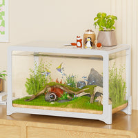 Mini Aquarium Fish Tank with Filter and Oxygenation for Desktop or Turtle Habitat