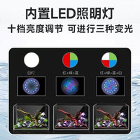 Desktop Aquarium with Integrated Filtration System for Home and Office