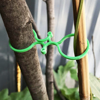 Garden Plant Support Clips and Ties for Tomatoes and Climbing Vines