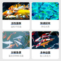 NITELI Nitrifying Bacteria Aquarium Water Purifier and Stabilizer for Fish Tank