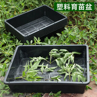 Thickened Rectangular Plastic Seedling Tray for Succulents and Rice Sprouts, Storage and Cultivation Box