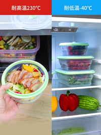 Partita Collapsible Silicone Lunch Box for Microwave, Portable Bento Bowl for Office and Travel