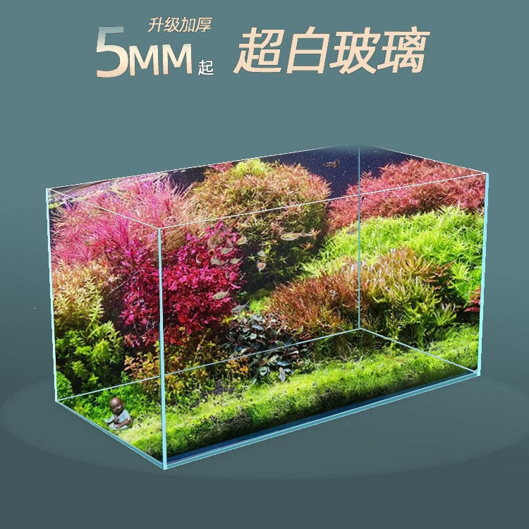 Crystal Clear Glass Aquarium for Betta Fish, Goldfish, and Aquatic Plants, Desktop Turtle Tank