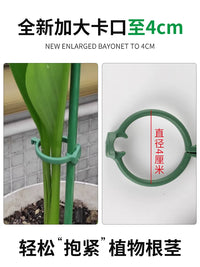 Plant Support Stakes with Clips and Ground Plugs for Potted Plants and Climbing Vines
