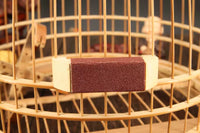 Bird Beak Grinding Sand Stick for Myna, Thrush, and Other Caged Birds