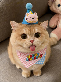 Pet Birthday Bandana and Hat Set for Cats and Small Dogs