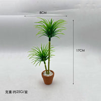 Dollhouse Miniature Dragon Blood Tree Potted Plant