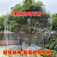 Nylon Anti-Bird Netting for Orchard and Garden Protection