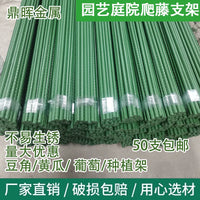 50-Pack Plastic-Coated Steel Plant Support Stakes for Climbing Vines, Flowers, and Vegetables