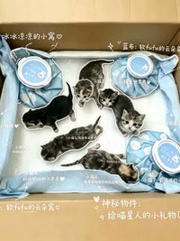 Reusable Pet Cooling Ice Pack Mat for Cats and Small Dogs, Outdoor Summer Heat Relief Pad