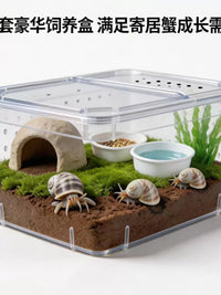 Hermit Crab Terrarium with Accessories - Transparent, Ventilated Habitat for Small Reptiles and Snails