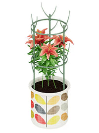 Stackable Plant Support Stakes for Potted Plants and Orchids