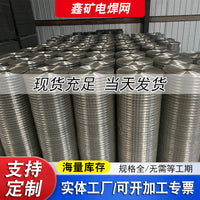 Galvanized Welded Wire Mesh for Plastering and Wall Insulation, Anti-Crack Reinforcement