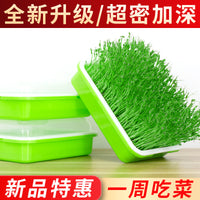 Hydroponic Seed Sprouting System with Multi-Tier Rack for Home Garden