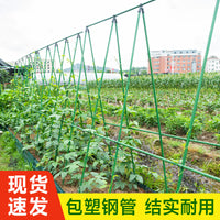 Coated Steel Plant Support Stakes for Climbing Plants, Garden Trellis for Vegetables and Flowers