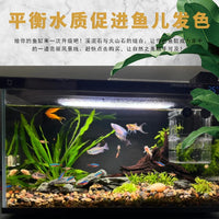 Natural Volcanic Rock and Stream Stone Aquarium Substrate for Fish Tank Decoration and Filtration