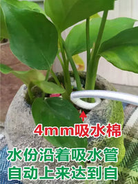 5-Pack Automatic Plant Watering Spikes for Potted Plants, Self-Dripping Irrigation System for Indoor/Outdoor Use