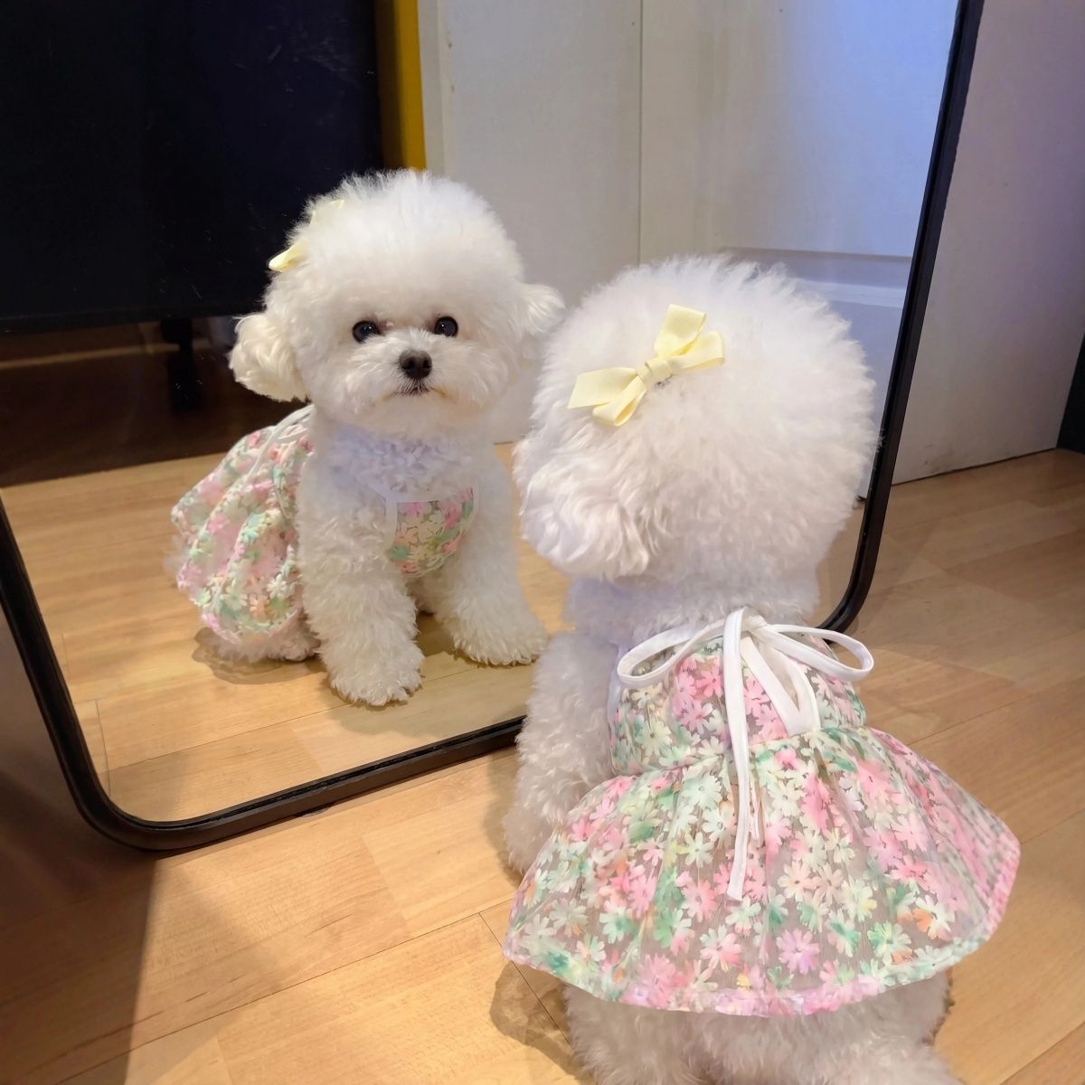 Pet Dog Cat Cherry Blossom Princess Dress for Small Breeds