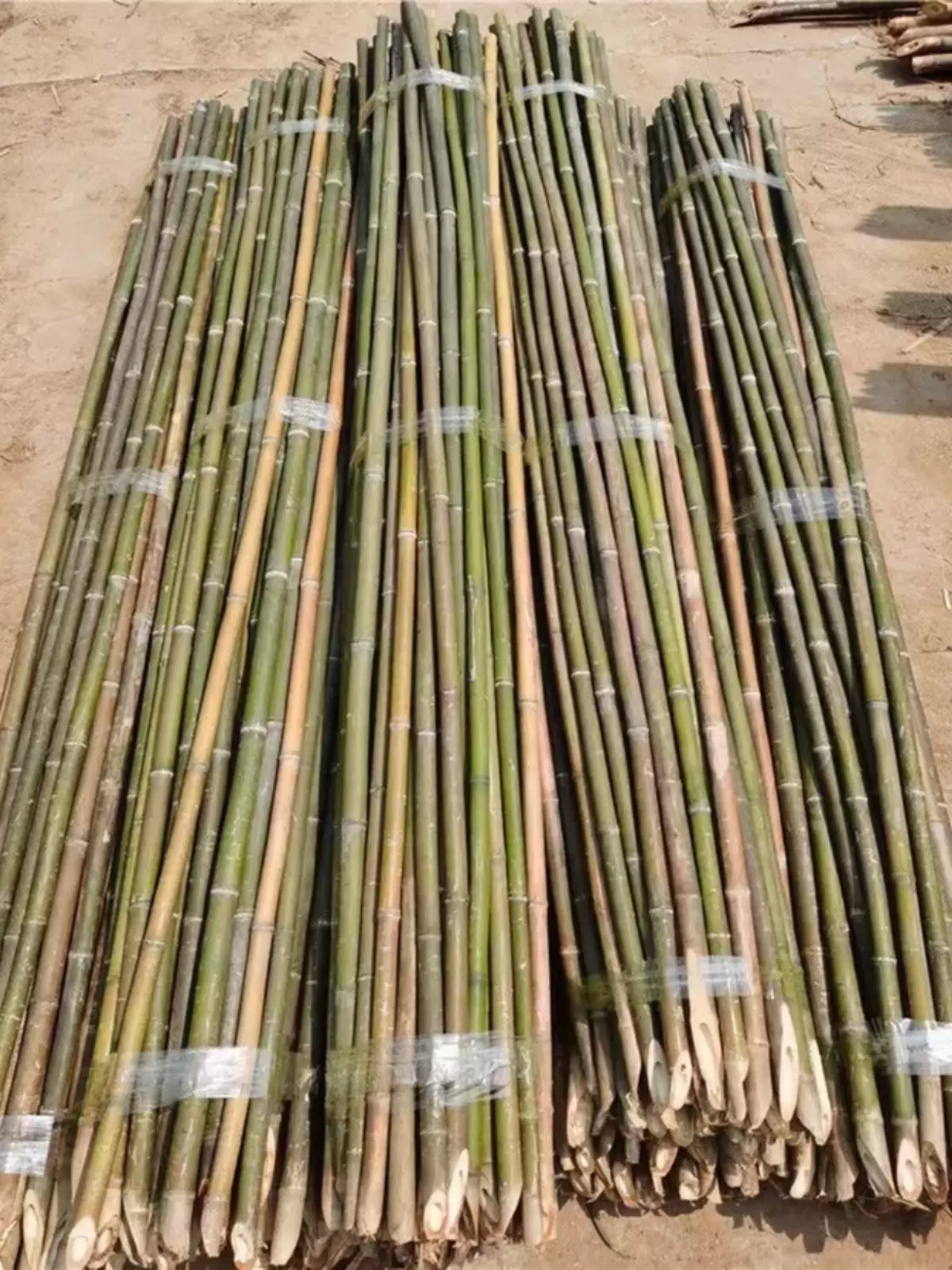 Natural Bamboo Garden Stakes for Climbing Vegetables and Trellising