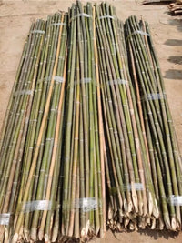 Natural Bamboo Garden Stakes for Climbing Vegetables and Trellising